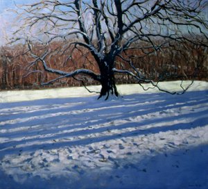 大树，雪，Calke修道院 作者 安德鲁·马卡拉（Andrew Macara）